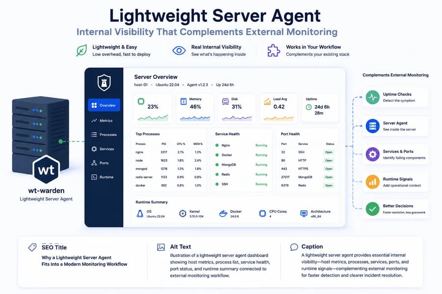 Minimal flat vector illustration of a lightweight server monitoring dashboard showing host metrics, service health, top processes, port status, and runtime signals working alongside external uptime monitoring.
